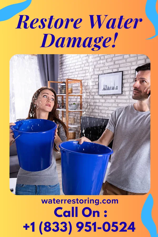 water restoration Citywide Sewage Cleanup Contractors Canute