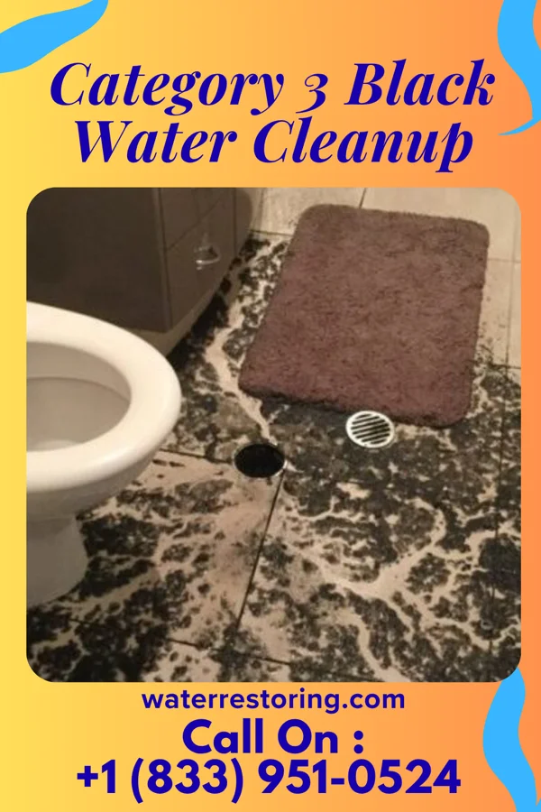 Category 3 Black Water Cleanup in Canute, OK